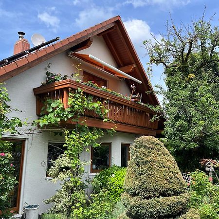 Fewo Judith Freital Exterior foto