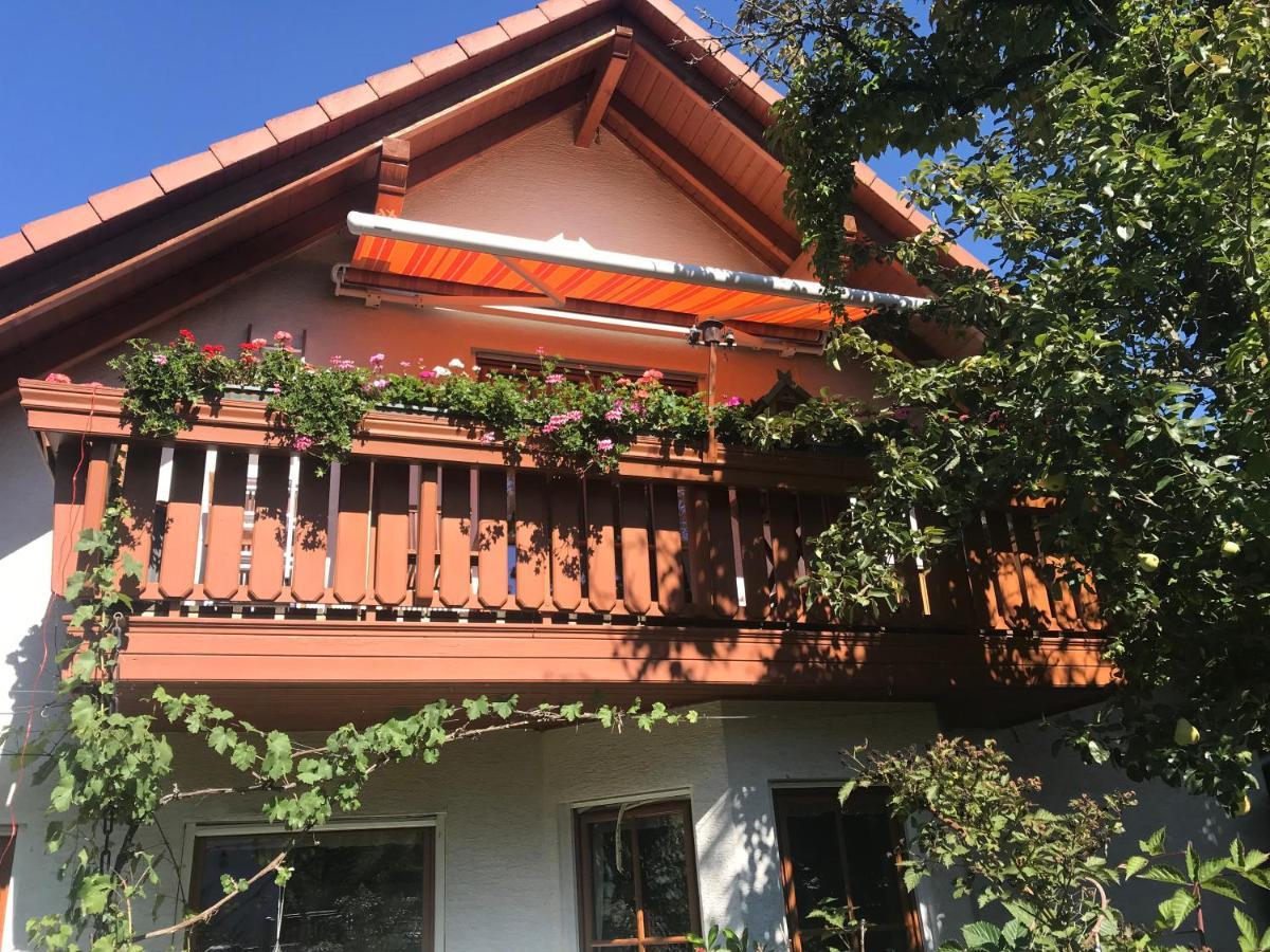 Fewo Judith Freital Exterior foto